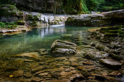 Limpid Brook