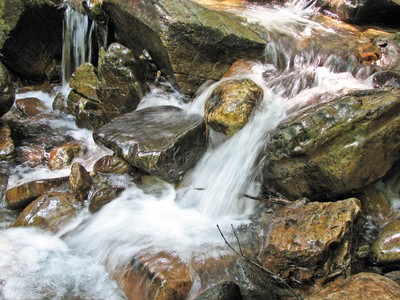 Bright River