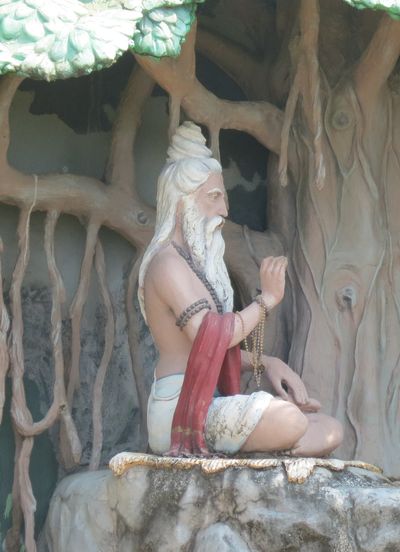 Krishna-Dwaipayana Vyasa