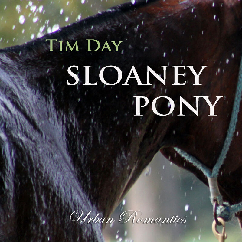 Cover of Sloaney Pony by Tim Day