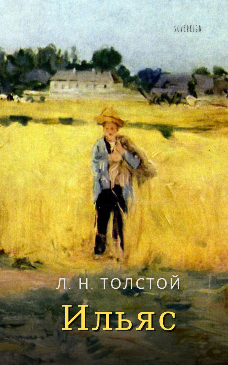 Cover of Ilyas by Leo Tolstoy