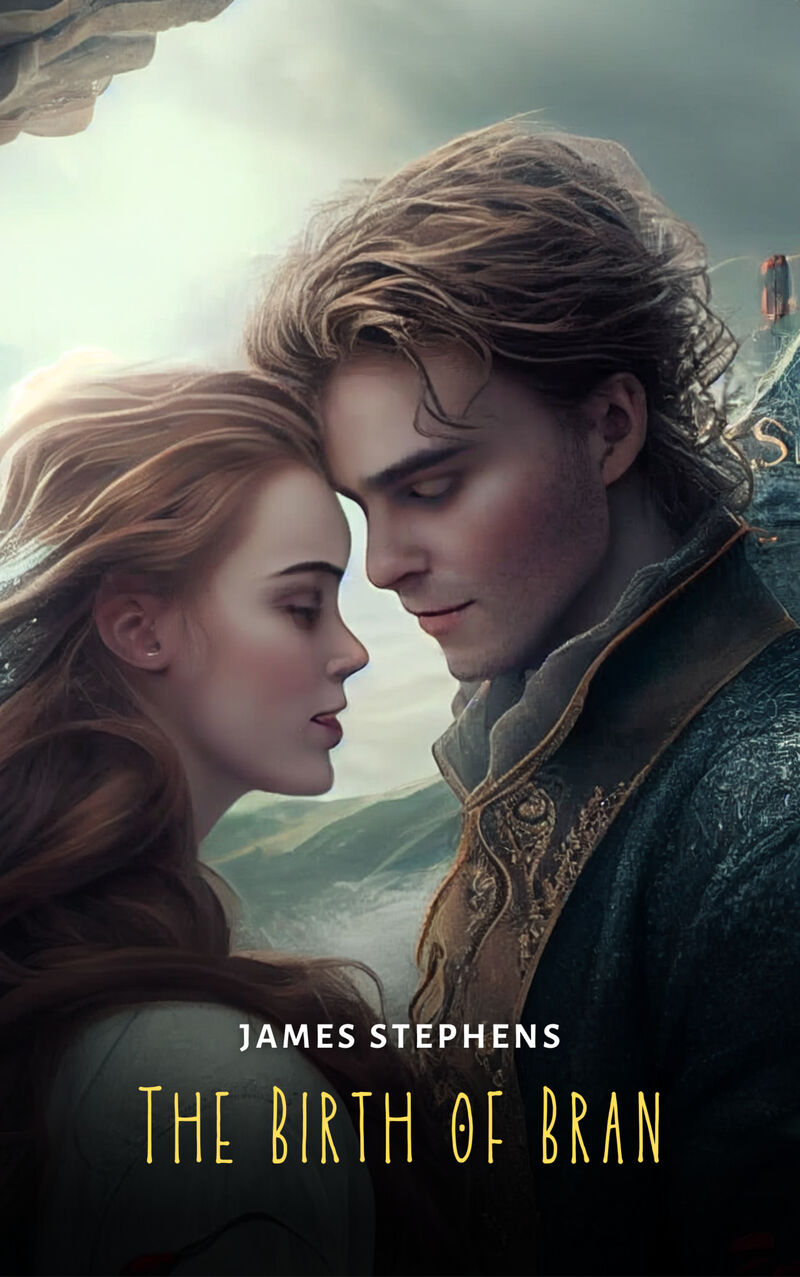Cover of The Birth of Bran by James Stephens
