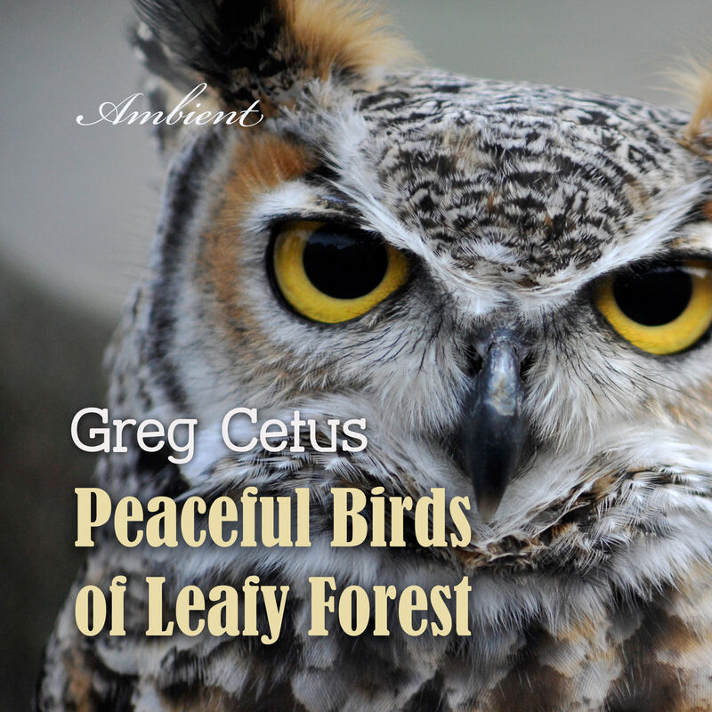 Cover of Peaceful Birds of Leafy Forest: Ambient Sounds for Relaxation and Focus by Greg Cetus
