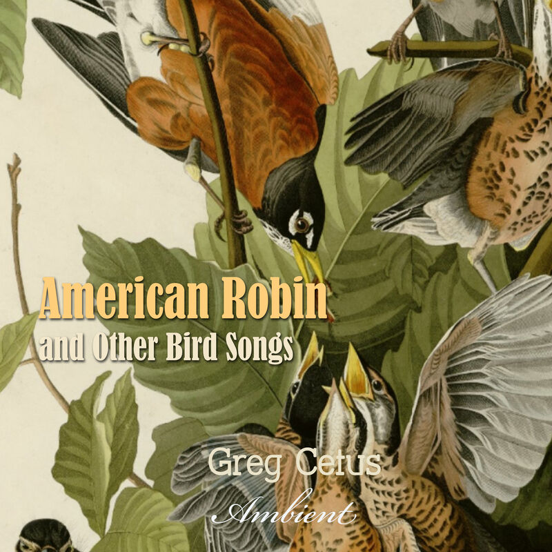Cover of American Robin and Other Bird Songs: Nature Sounds for Mindfulness by Greg Cetus