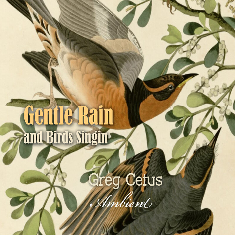 Cover of Gentle Rain and Birds Singing: Nature Sounds for Relaxation by Greg Cetus