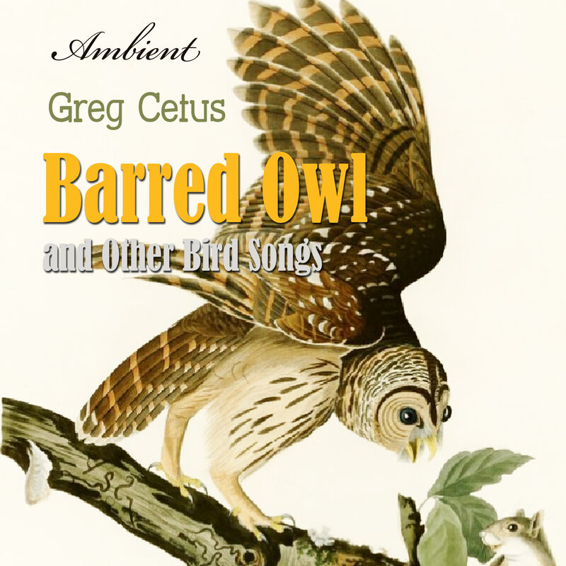 Cover of Barred Owl and Other Bird Songs: Nature Sounds for Reflection by Greg Cetus