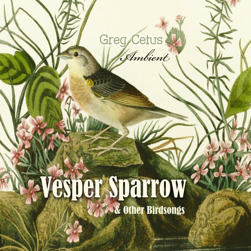 Cover of Vesper Sparrow and Other Bird Songs by Greg Cetus