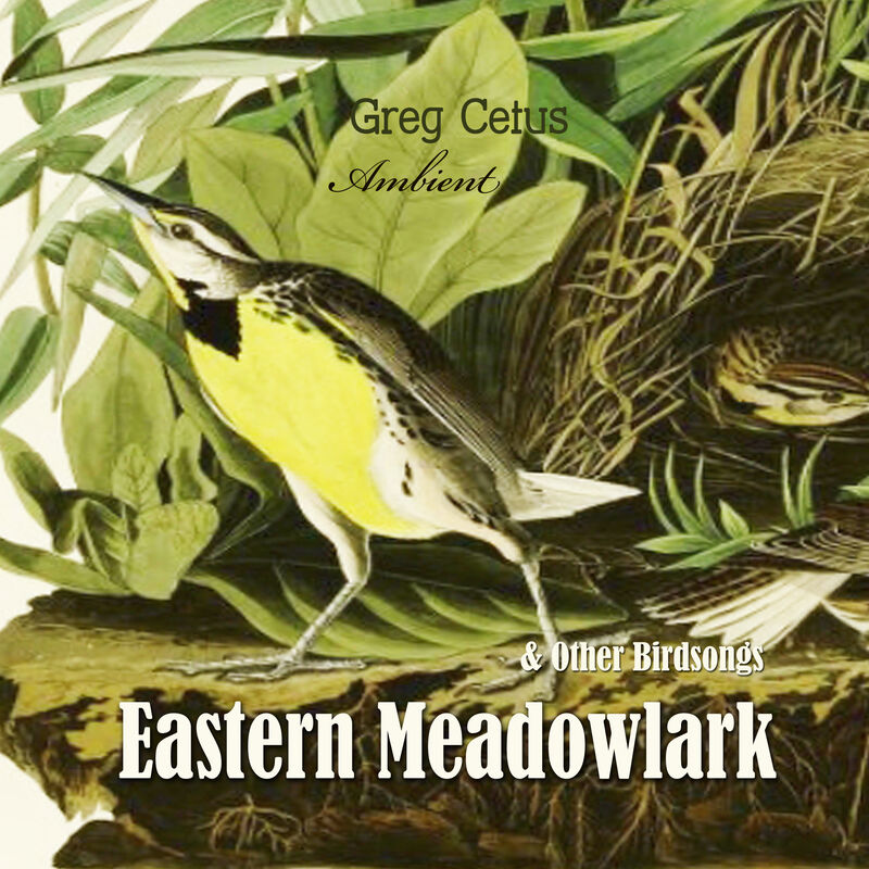 Cover of Eastern Meadowlark and Other Bird Songs by Greg Cetus