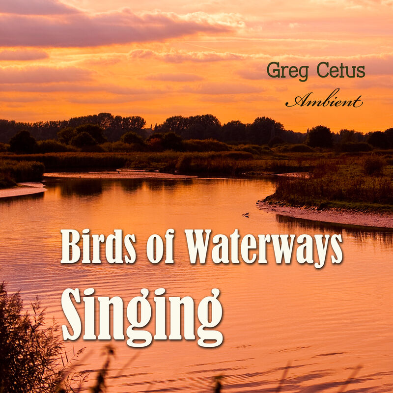 Cover of Birds of Waterways Singing by Greg Cetus