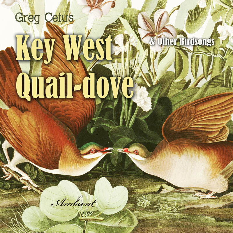 Cover of Key West Quail-dove and Other Birdsongs by Greg Cetus