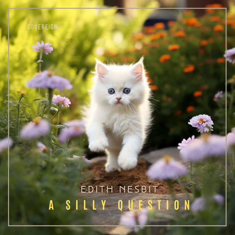 Cover of A Silly Question by Edith Nesbit