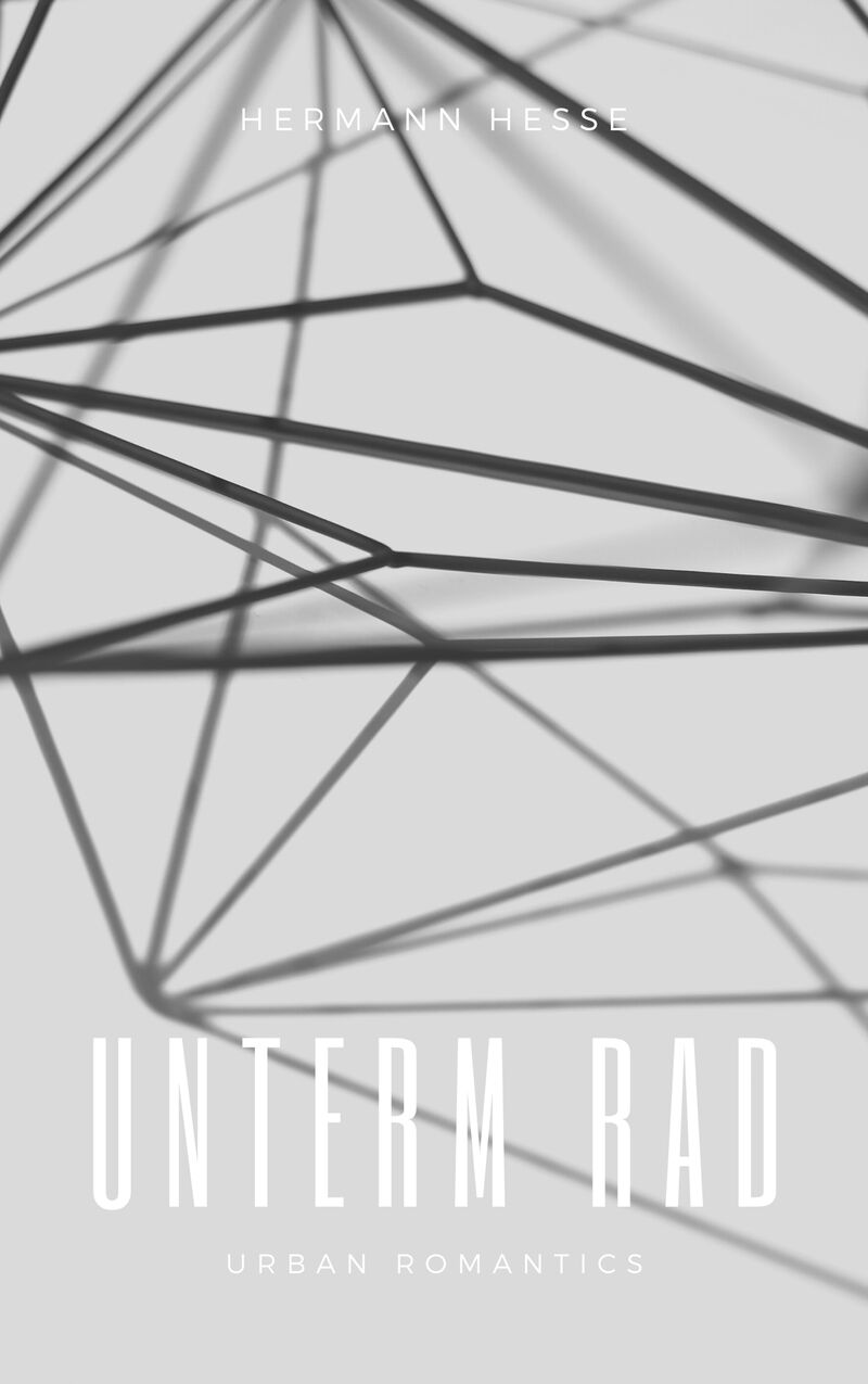 Cover of Unterm Rad by Hermann Hesse
