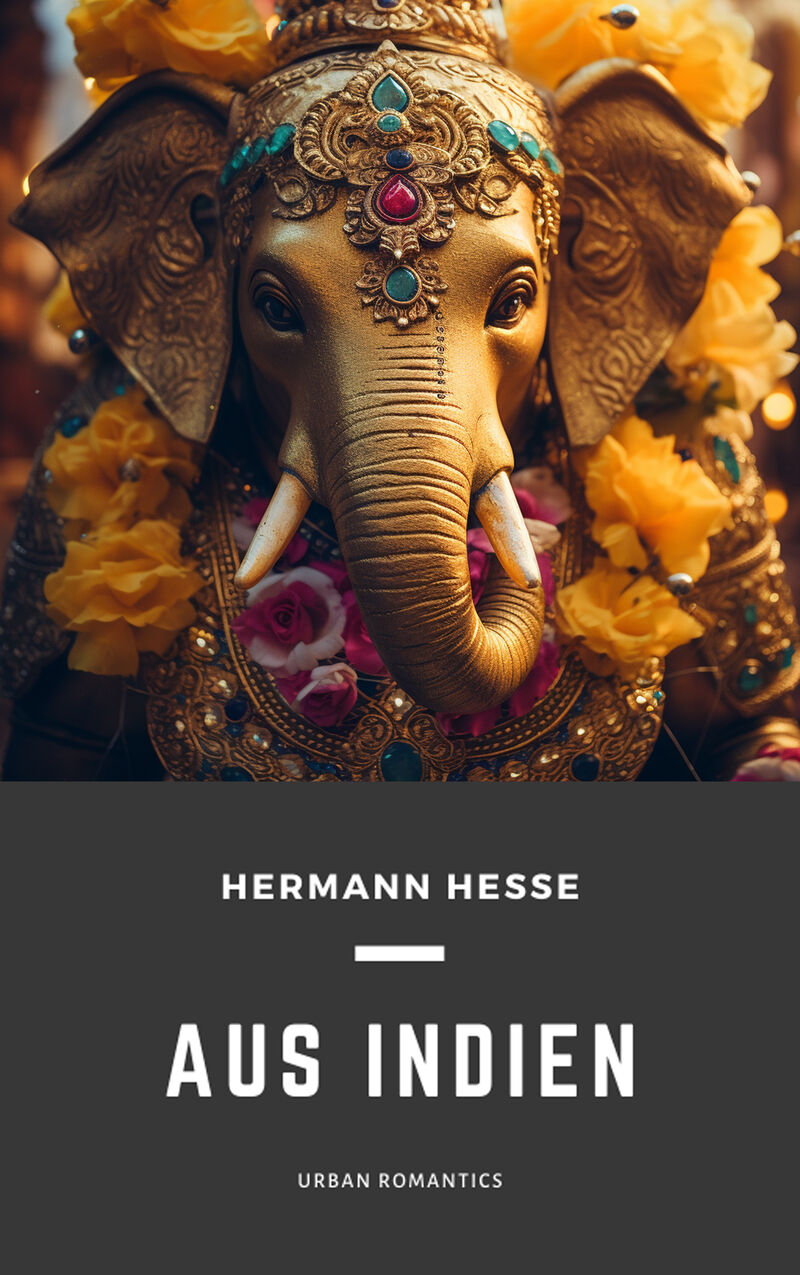 Cover of Aus Indien by Hermann Hesse