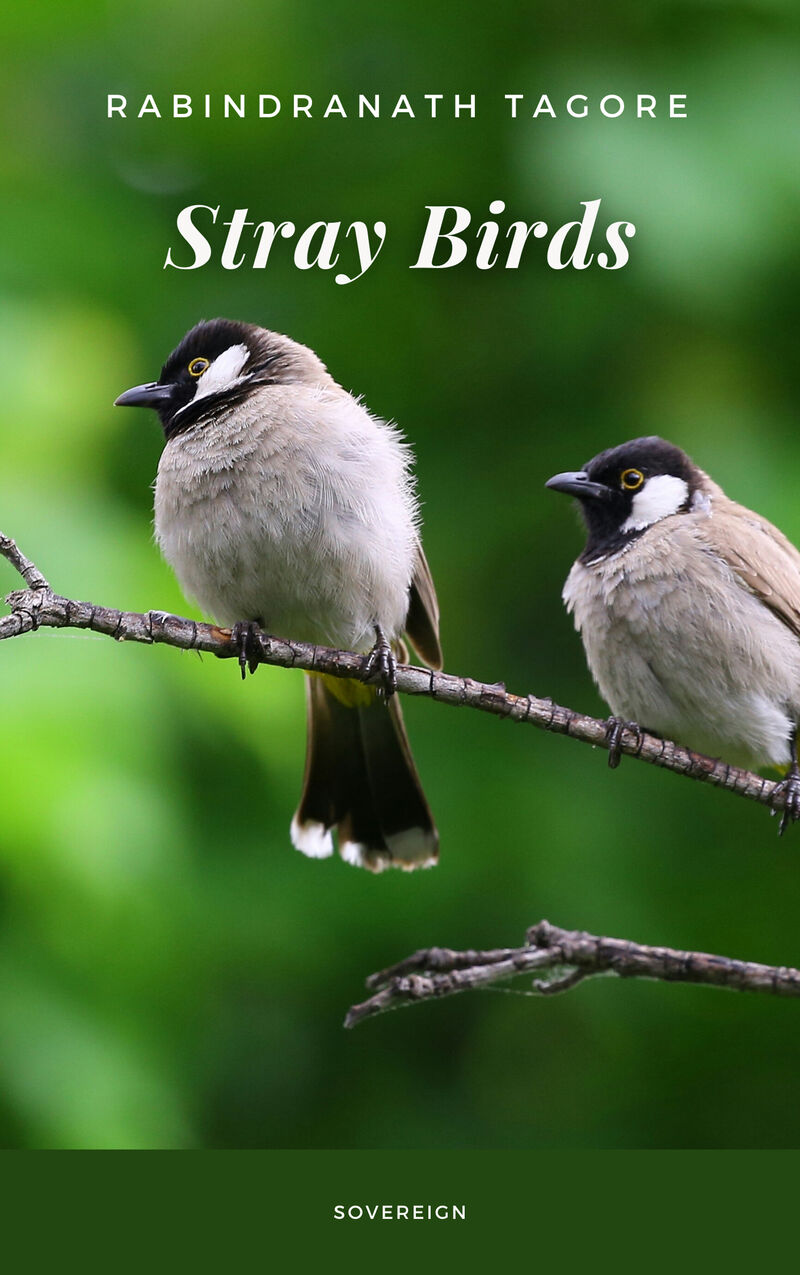 Cover of Stray Birds by Rabindranath Tagore