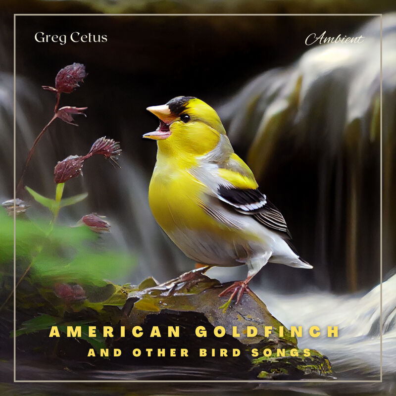 Cover of American Goldfinch and Other Bird Songs: Nature Sounds for Study and Meditation by Greg Cetus