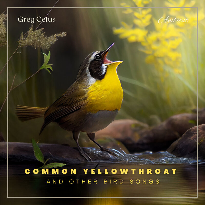 Cover of Common Yellowthroat and Other Bird Songs: Nature Sounds for Mindfulness and Reflection by Greg Cetus