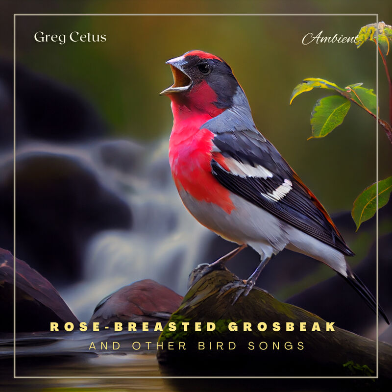 Cover of Rose-breasted Grosbeak and Other Bird Songs: Atmospheric Audio for Productivity and Focus by Greg Cetus