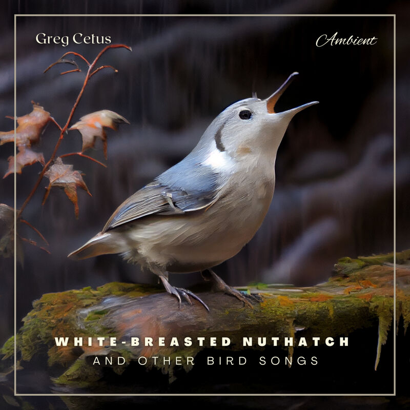 Cover of White-breasted Nuthatch and Other Bird Songs: Ambient Audio for Holistic Living by Greg Cetus