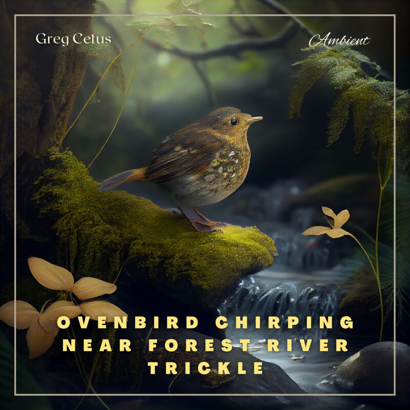 Cover of Ovenbird Chirping Near Forest River Trickle: Nature Sounds for Mindfulness and Reflection by Greg Cetus