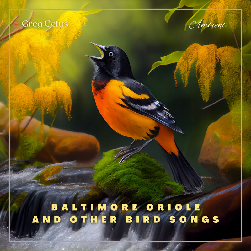 Cover of Baltimore Oriole and Other Bird Songs: Nature Sounds for Yoga and Relaxation by Greg Cetus