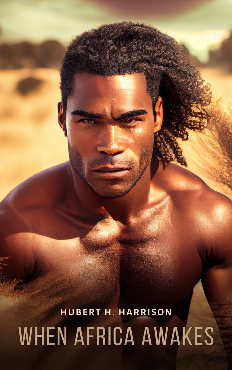 Cover of When Africa Awakes by Hubert H. Harrison