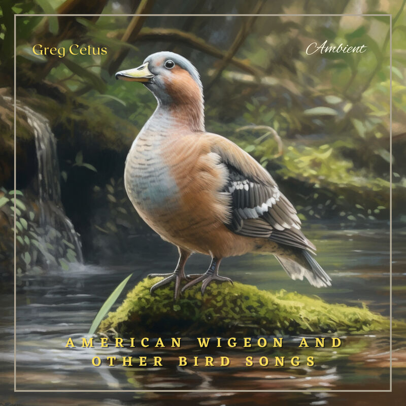 Cover of American Wigeon and Other Bird Songs: Ambient Audio from Canadian Wetlands by Greg Cetus