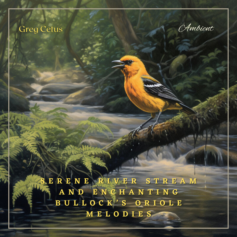 Cover of Serene River Stream and Enchanting Bullock’s Oriole Melodies: Ambient Audio from Californian Woodland by Greg Cetus