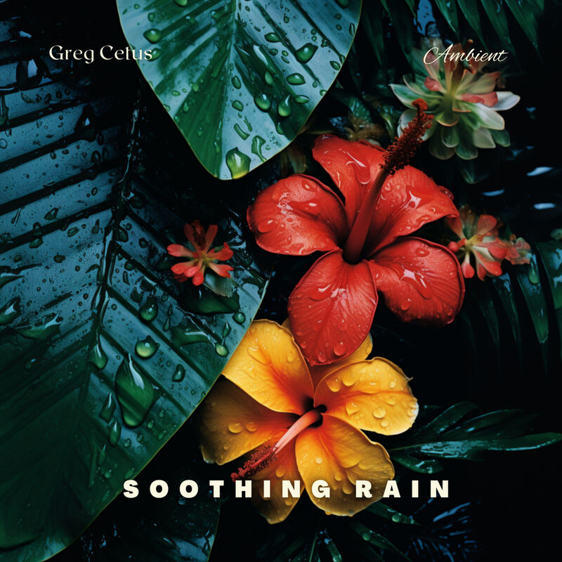 Cover of Soothing Rain: Tranquil Rainfall After Rainstorm by Greg Cetus