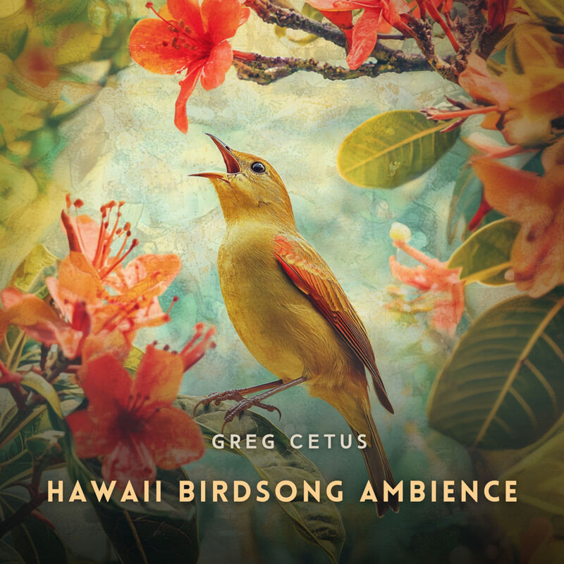 Cover of Hawaii Birdsong Ambience: Relaxing Soundscape for Yoga and Meditation by Greg Cetus