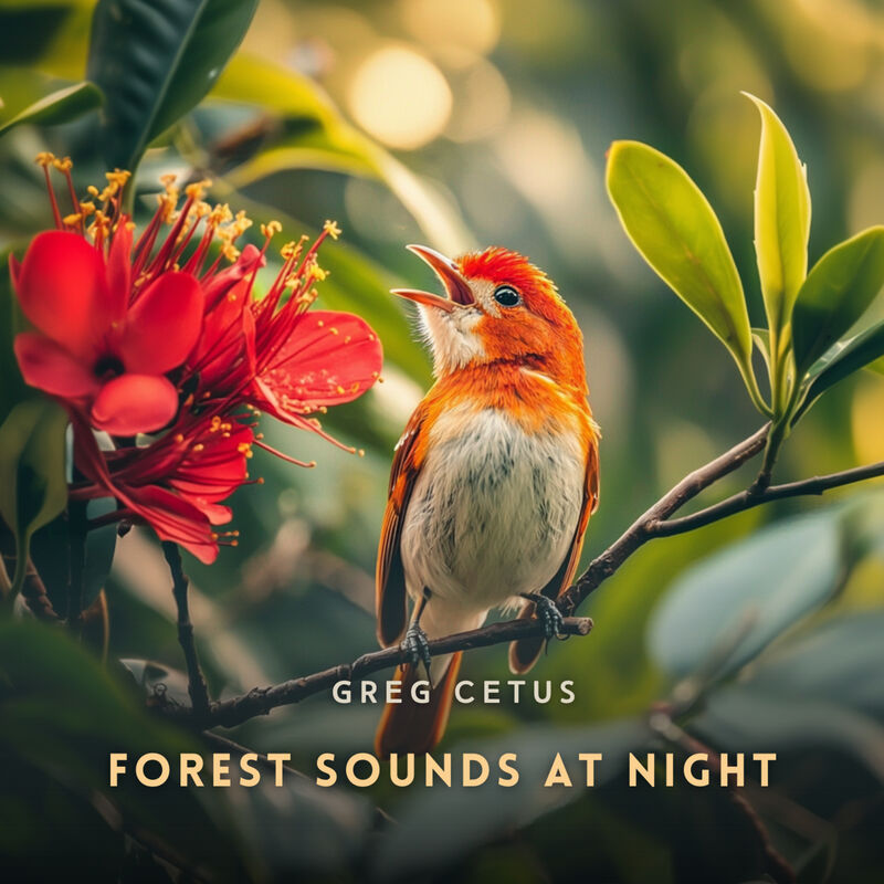 Cover of Forest Sounds at Night: Nature's Lullaby for Sleep and Meditation by Greg Cetus