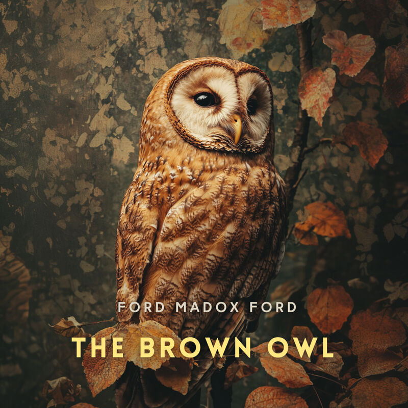 Cover of The Brown Owl: A Fairy Story by Ford Madox Ford