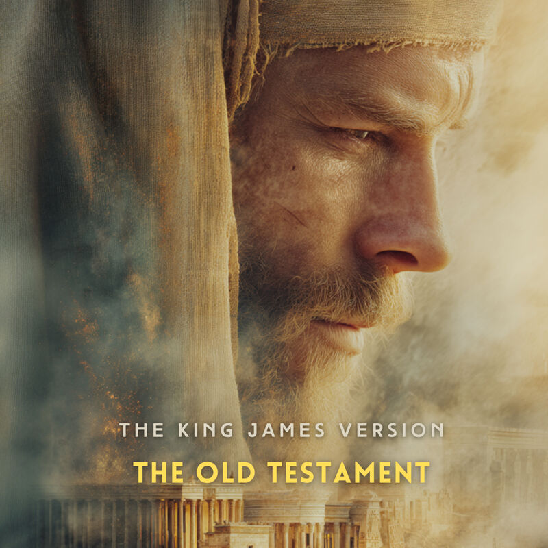 Cover of The Old Testament Volume 5: Hosea, Joel, Amos, Obadiah, Jonah, Micah, Nahum, Habakkuk, Zephaniah, Haggai, Zechariah, Malachi by Josh Verbae
