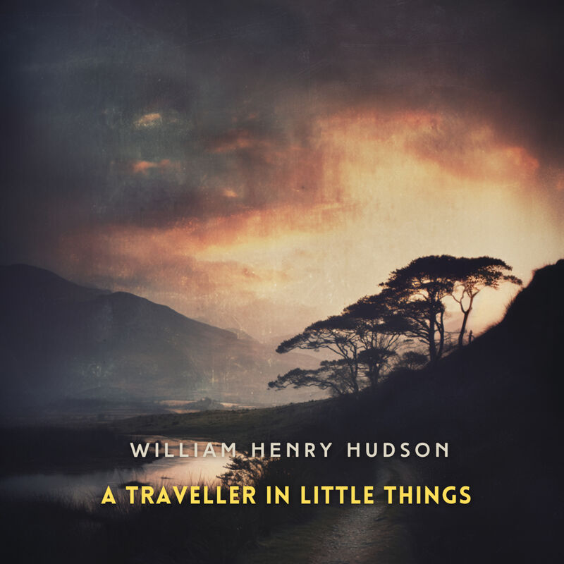 Cover of A Traveller in Little Things by William Henry Hudson
