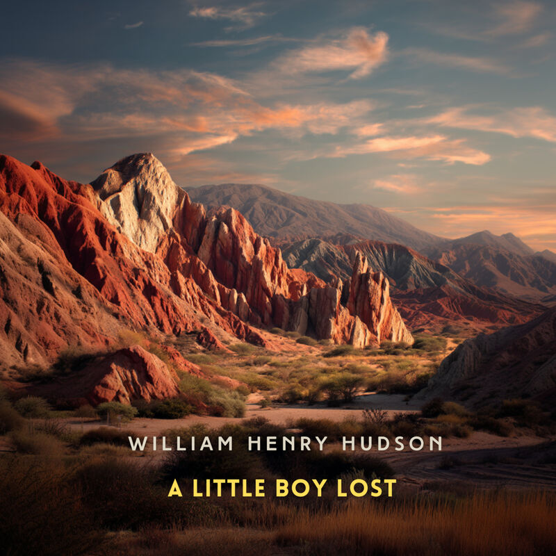 Cover of A Little Boy Lost by William Henry Hudson