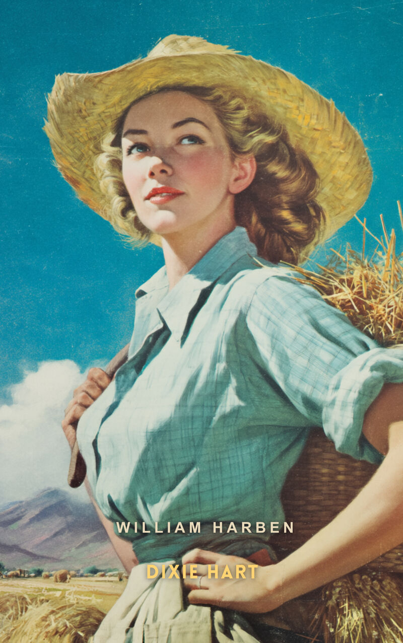 Cover of Dixie Hart by William Harben