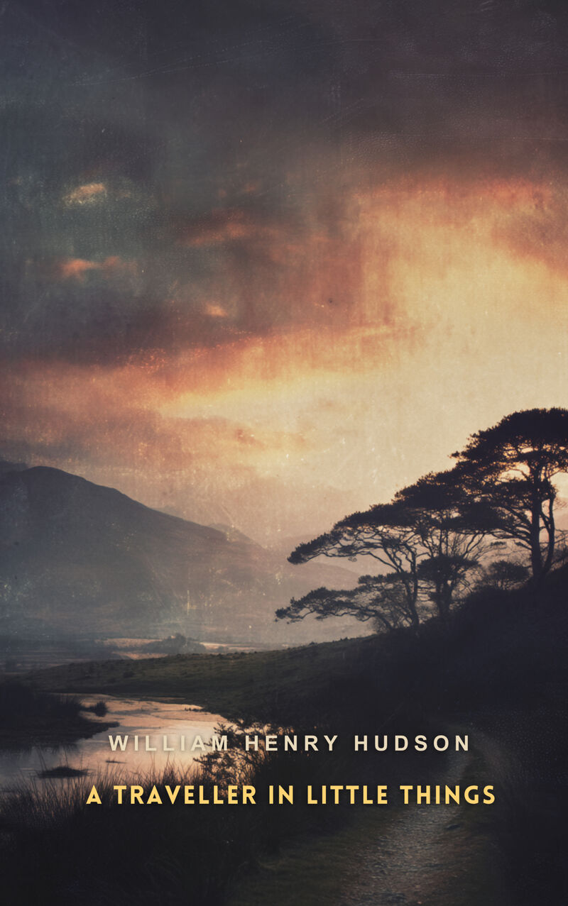Cover of A Traveller in Little Things by William Henry Hudson