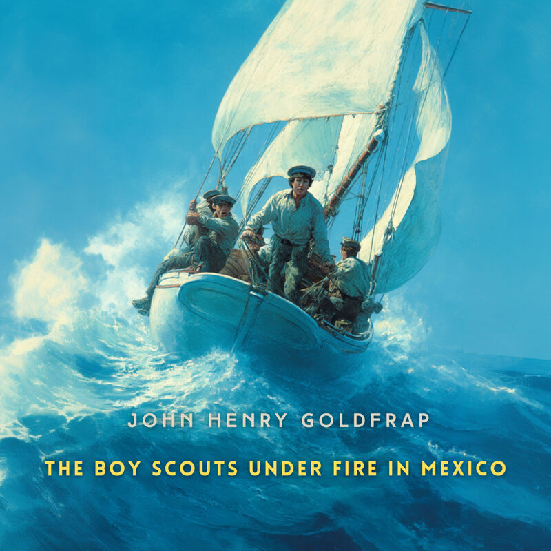 Cover of The Boy Scouts Under Fire in Mexico by John Henry Goldfrap