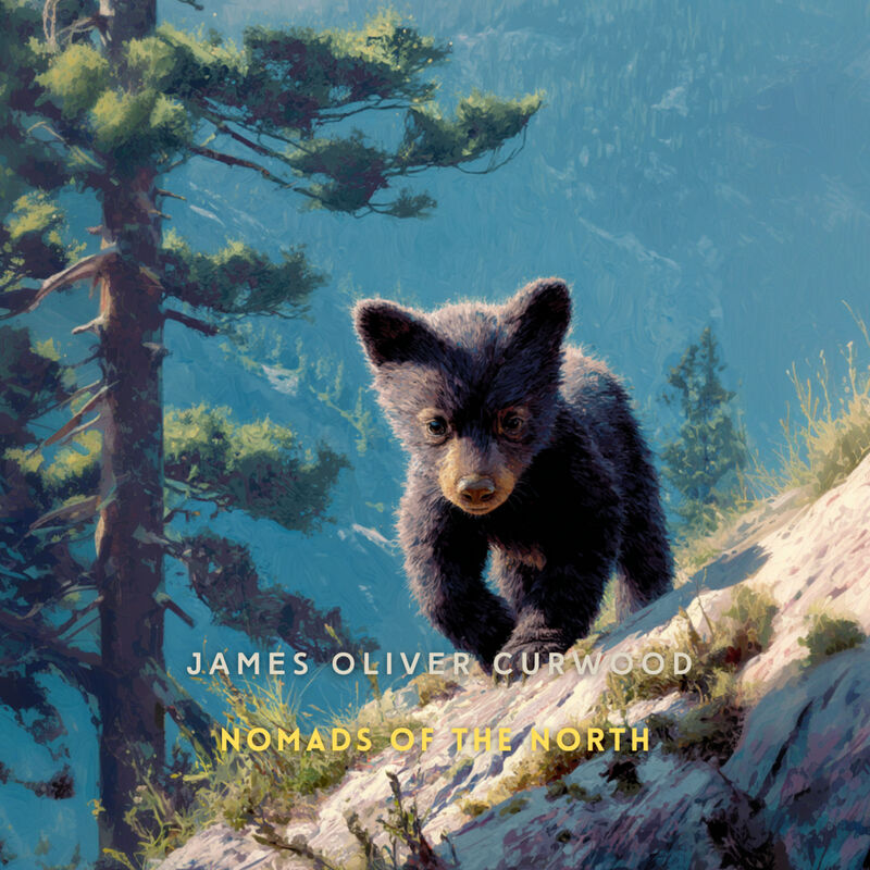 Cover of Nomads of the North: A Story of Romance and Adventure under the Open Stars by James Oliver Curwood