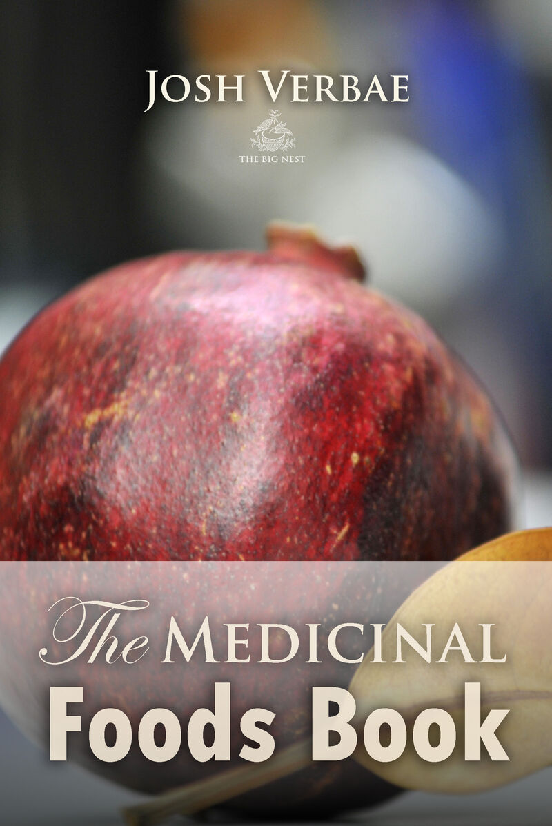 Cover of The Medicinal Foods Book by Josh Verbae