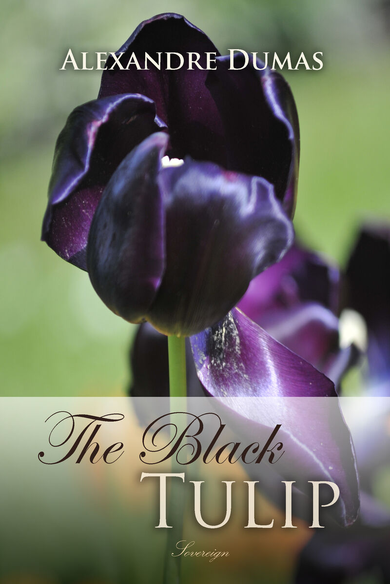 Cover of The Black Tulip by Alexandre Dumas