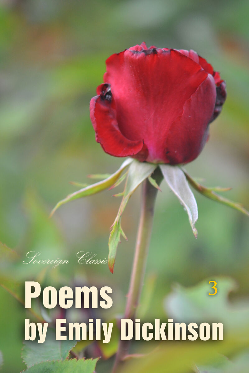 Cover of Poems by Emily Dickinson Volume 3 by Emily Dickinson