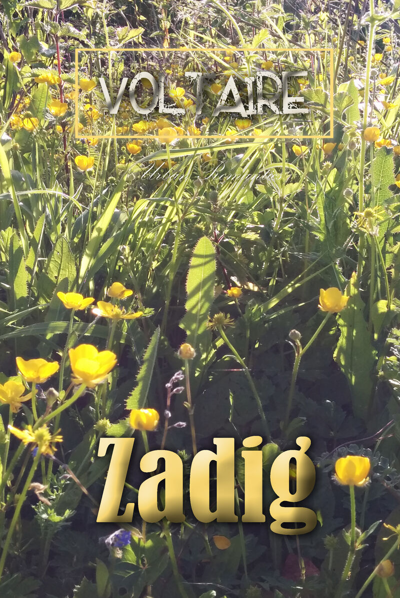 Cover of Zadig by Voltaire