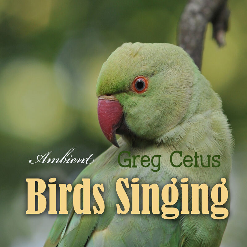 Cover of Birds Singing: Ambient Sound for Mindful State by Greg Cetus
