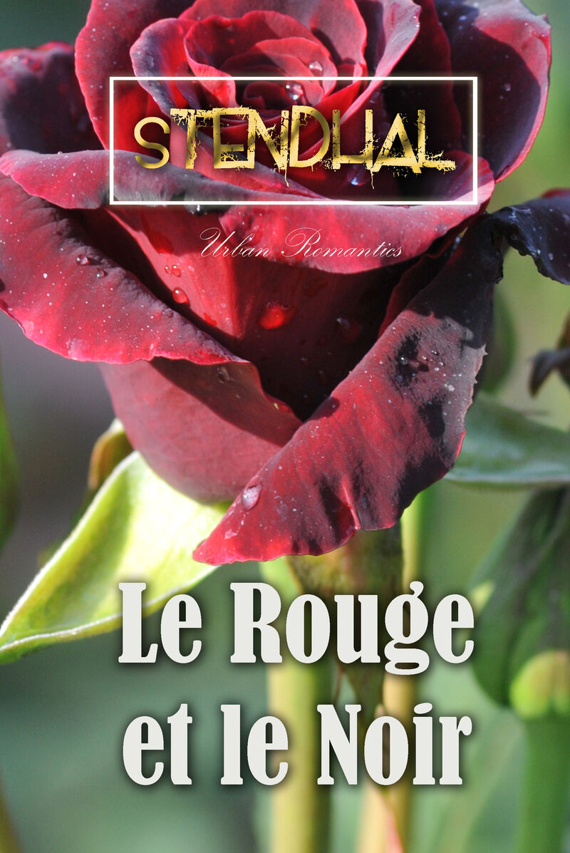 Cover of Le Rouge et le Noir by Stendhal